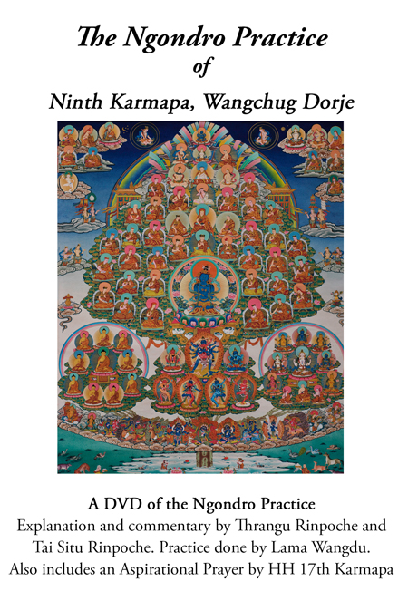 Karma Kagyu Ngondro Practice (DVD)
